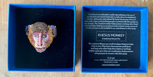 Load image into Gallery viewer, Rhesus Monkey Brooch